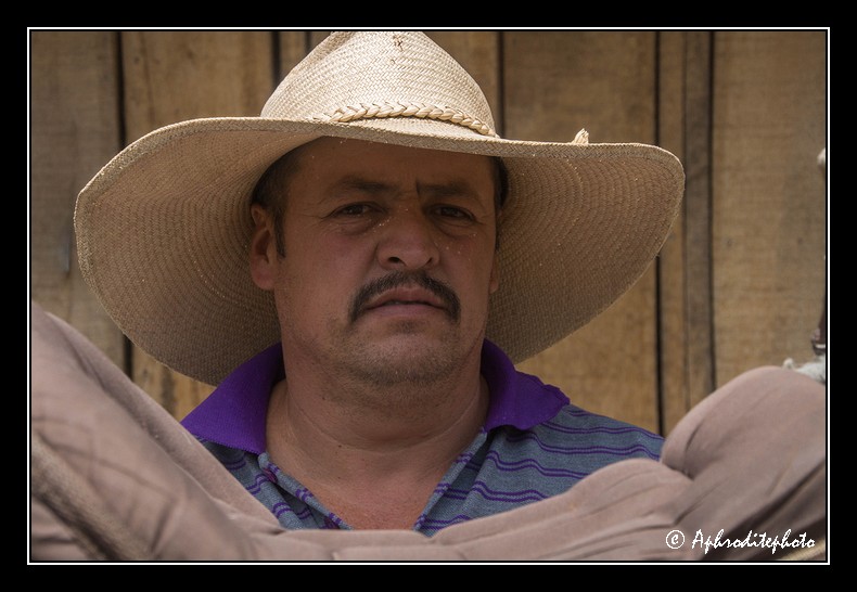 Columbia portraits 25